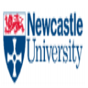 Newcastle University Postgraduate Nigeria Scholarships in UK